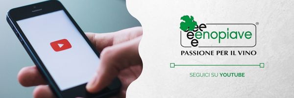 https://www.enopiave.com/wp-content/uploads/2024/11/SEGUICI-SU-YOUTUBE.jpg